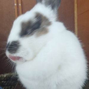 Meet your Posher, Gabby